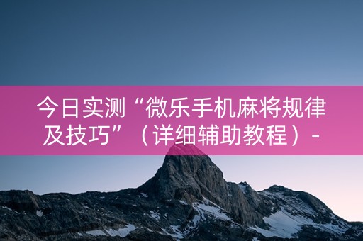 今日实测“微乐手机麻将规律及技巧”（详细辅助教程）-哔哩哔哩