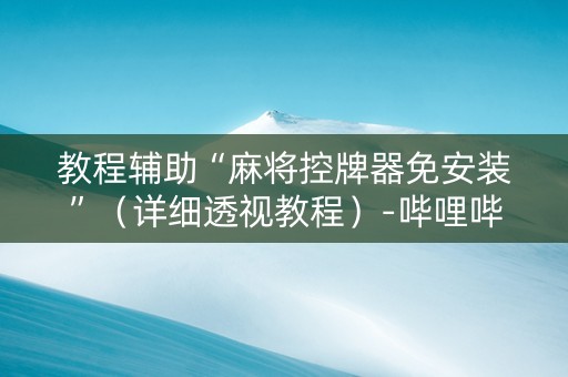 教程辅助“麻将控牌器免安装”（详细透视教程）-哔哩哔哩