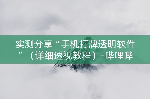 实测分享“手机打牌透明软件”（详细透视教程）-哔哩哔哩