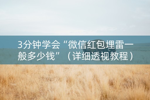 3分钟学会“微信红包埋雷一般多少钱”（详细透视教程）-哔哩哔哩