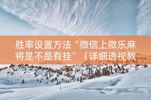 胜率设置方法“微信上微乐麻将是不是有挂”（详细透视教程）-哔哩哔哩