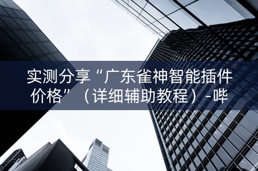 实测分享“广东雀神智能插件价格”（详细辅助教程）-哔哩哔哩