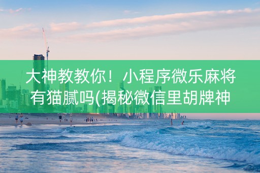 大神教教你！小程序微乐麻将有猫腻吗(揭秘微信里胡牌神器)
