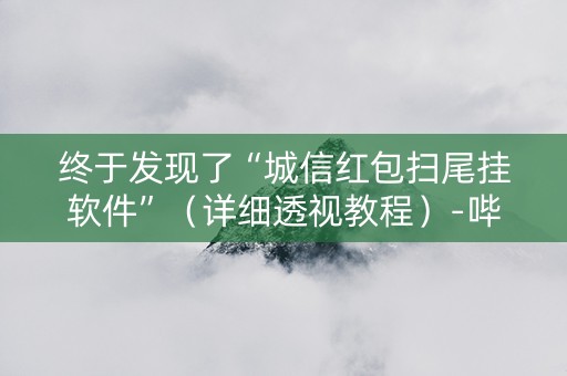 终于发现了“城信红包扫尾挂软件”（详细透视教程）-哔哩哔哩