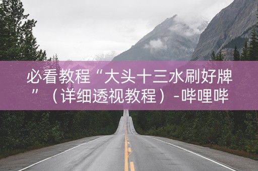 必看教程“大头十三水刷好牌”（详细透视教程）-哔哩哔哩