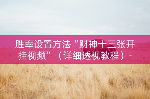 胜率设置方法“财神十三张开挂视频”（详细透视教程）-哔哩哔哩