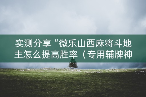 实测分享“微乐山西麻将斗地主怎么提高胜率（专用辅牌神器免安装）
