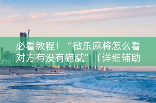 必看教程！“微乐麻将怎么看对方有没有猫腻”（详细辅助教程）-哔哩哔哩