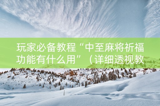 玩家必备教程“中至麻将祈福功能有什么用”（详细透视教程）-哔哩哔哩