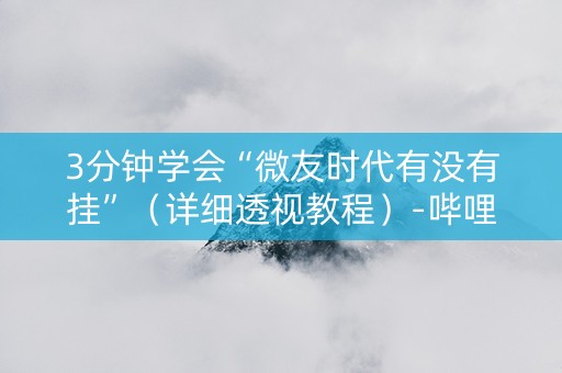 3分钟学会“微友时代有没有挂”（详细透视教程）-哔哩哔哩