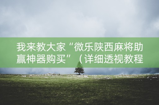 我来教大家“微乐陕西麻将助赢神器购买”（详细透视教程）-哔哩哔哩