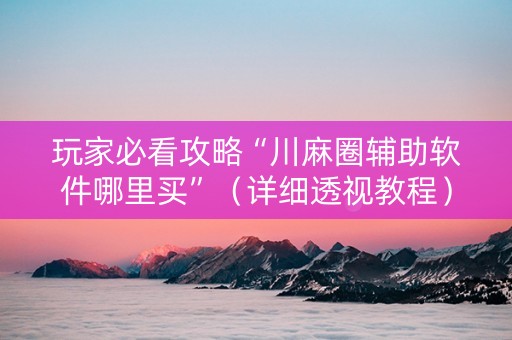 玩家必看攻略“川麻圈辅助软件哪里买”（详细透视教程）-哔哩哔哩