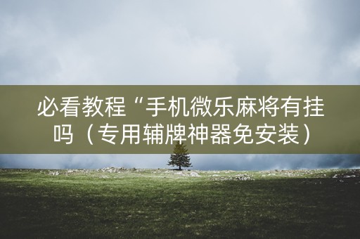 必看教程“手机微乐麻将有挂吗（专用辅牌神器免安装）