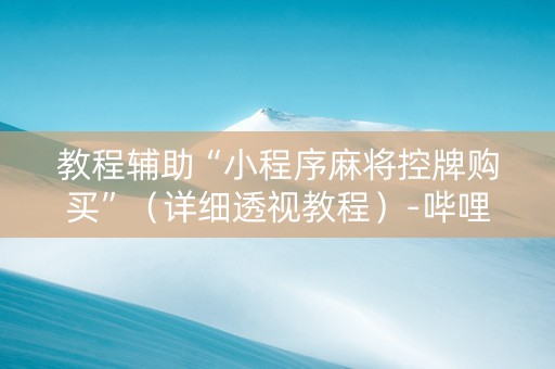教程辅助“小程序麻将控牌购买”（详细透视教程）-哔哩哔哩