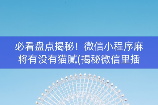 必看盘点揭秘！微信小程序麻将有没有猫腻(揭秘微信里插件下载)