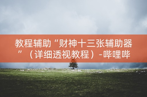 教程辅助“财神十三张辅助器”（详细透视教程）-哔哩哔哩