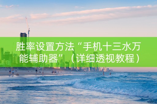 胜率设置方法“手机十三水万能辅助器”（详细透视教程）-哔哩哔哩