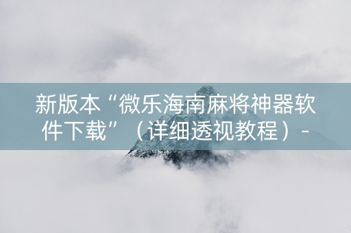 新版本“微乐海南麻将神器软件下载”（详细透视教程）-哔哩哔哩