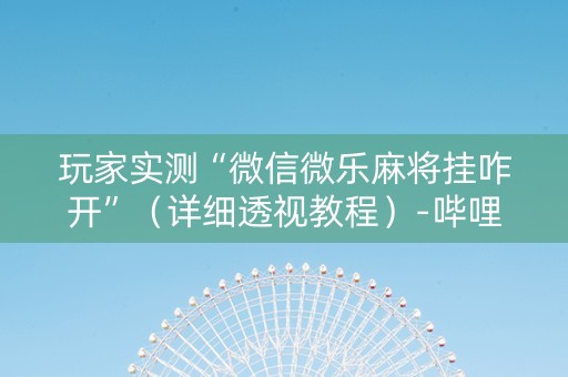 玩家实测“微信微乐麻将挂咋开”（详细透视教程）-哔哩哔哩