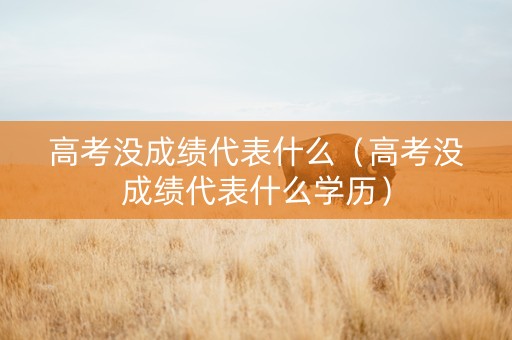 高考没成绩代表什么（高考没成绩代表什么学历）