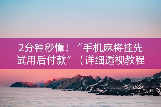 2分钟秒懂！“手机麻将挂先试用后付款”（详细透视教程）-哔哩哔哩