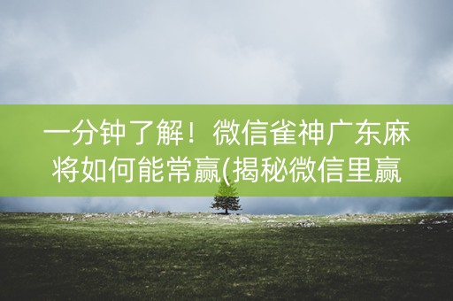 一分钟了解！微信雀神广东麻将如何能常赢(揭秘微信里赢牌技巧)