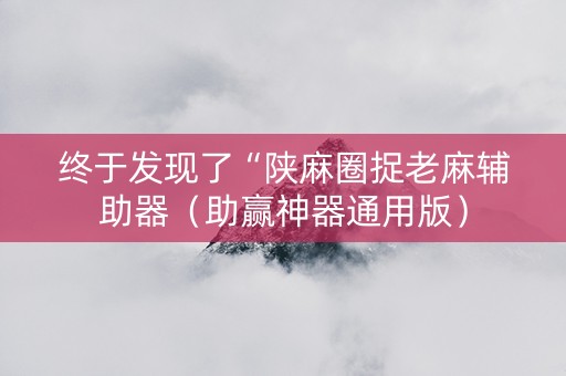 终于发现了“陕麻圈捉老麻辅助器（助赢神器通用版）