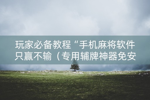 玩家必备教程“手机麻将软件只赢不输（专用辅牌神器免安装）