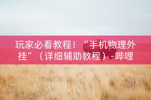 玩家必看教程！“手机物理外挂”（详细辅助教程）-哔哩哔哩
