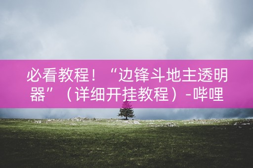 必看教程！“边锋斗地主透明器”（详细开挂教程）-哔哩哔哩
