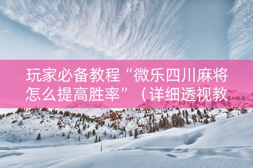 玩家必备教程“微乐四川麻将怎么提高胜率”（详细透视教程）-哔哩哔哩