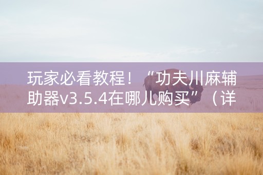 玩家必看教程！“功夫川麻辅助器v3.5.4在哪儿购买”（详细开挂教程）-哔哩哔哩