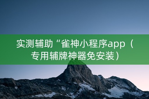 实测辅助“雀神小程序app（专用辅牌神器免安装）