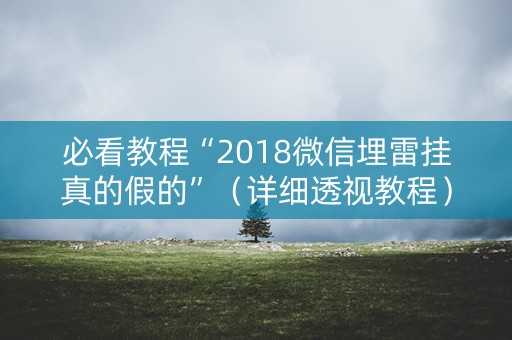 必看教程“2018微信埋雷挂真的假的”（详细透视教程）-哔哩哔哩