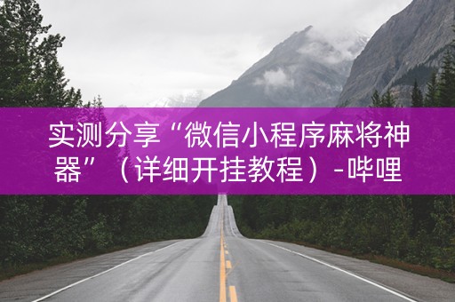 实测分享“微信小程序麻将神器”（详细开挂教程）-哔哩哔哩