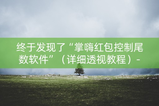 终于发现了“掌嗨红包控制尾数软件”（详细透视教程）-哔哩哔哩