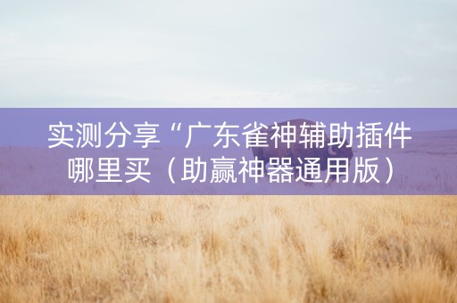 实测分享“广东雀神辅助插件哪里买(助赢神器通用版) 实测分享“广东雀神辅助插件哪里买(助赢神器通用版)