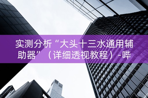 实测分析“大头十三水通用辅助器”（详细透视教程）-哔哩哔哩