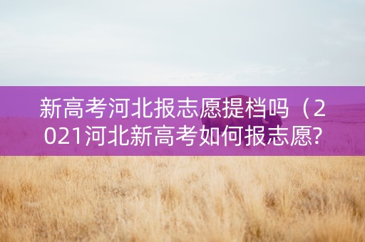 新高考河北报志愿提档吗（2021河北新高考如何报志愿?）