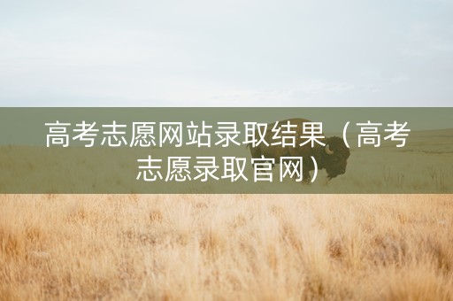 高考志愿网站录取结果（高考志愿录取官网）