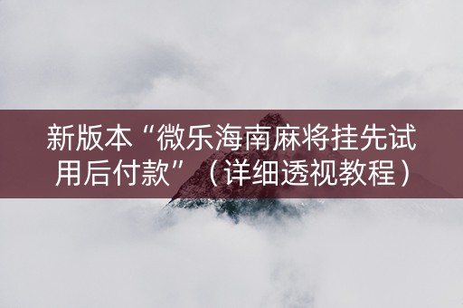 新版本“微乐海南麻将挂先试用后付款”（详细透视教程）-哔哩哔哩