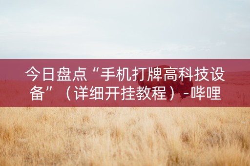 今日盘点“手机打牌高科技设备”（详细开挂教程）-哔哩哔哩