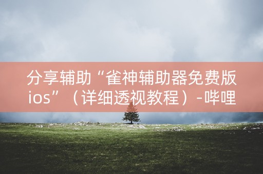 分享辅助“雀神辅助器免费版ios”（详细透视教程）-哔哩哔哩
