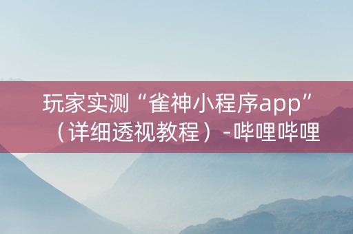 玩家实测“雀神小程序app”（详细透视教程）-哔哩哔哩