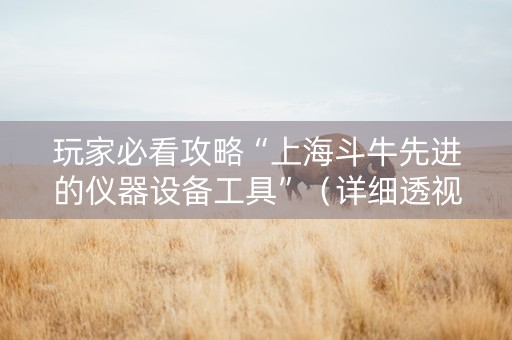 玩家必看攻略“上海斗牛先进的仪器设备工具”（详细透视教程）-哔哩哔哩