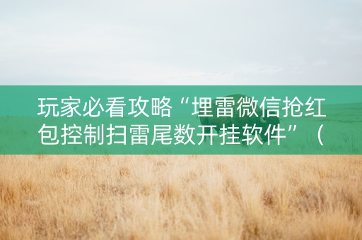 玩家必看攻略“埋雷微信抢红包控制扫雷尾数开挂软件”（详细透视教程）-哔哩哔哩