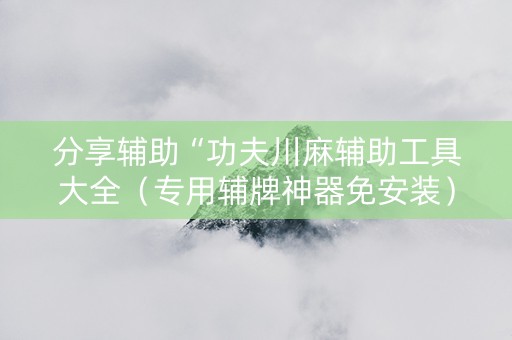 分享辅助“功夫川麻辅助工具大全（专用辅牌神器免安装）