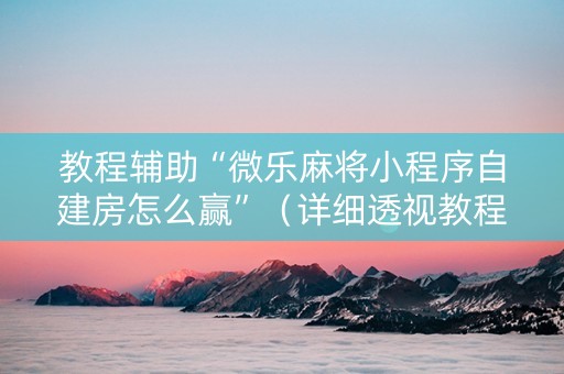 教程辅助“微乐麻将小程序自建房怎么赢”（详细透视教程）-哔哩哔哩
