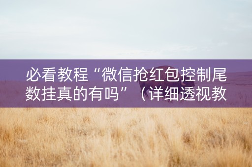必看教程“微信抢红包控制尾数挂真的有吗”（详细透视教程）-哔哩哔哩