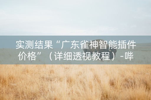 实测结果“广东雀神智能插件价格”（详细透视教程）-哔哩哔哩